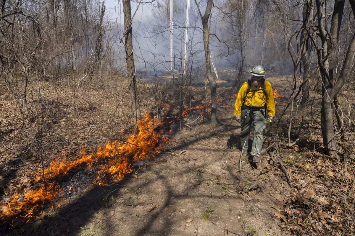25 years ablaze: SIU’s ‘Fire Dawgs’ inspires land management careers