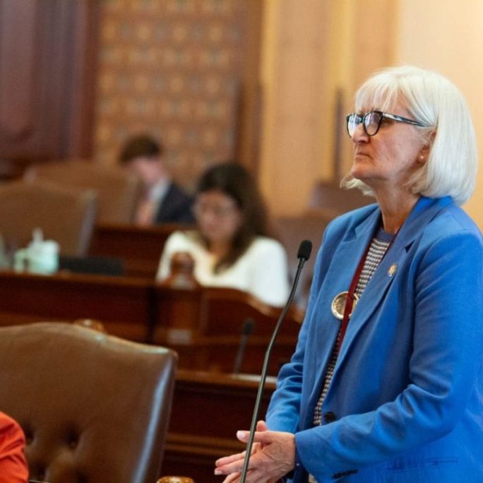 State Sen. Mary Edly-Allen, the bill’s sponsor, speaks on the Senate floor May 20. Edly-Allen’s bill seeks to regulate the most advanced forms of AI models. (Capitol News Illinois photo by Jerry Nowicki)