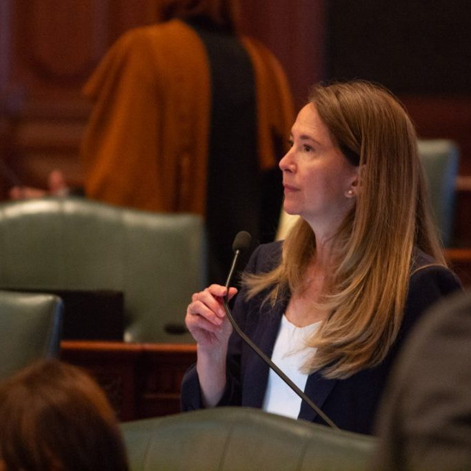 Rep. Jennifer Gong-Gershowitz speaks on the House floor on May 21, 2026. (Capitol News Illinois photo by Jerry Nowicki)