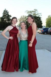 Prom 011